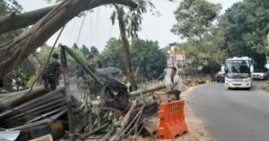 Pasca Pohon Tumbang di Setiabudi–Lembang, Arus Lalu Lintas Kembali Normal di Depan Mapolsek Cidadap