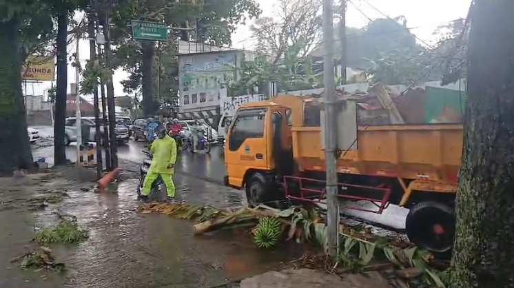 Pohon Tumbang di Depan Darmaga Sunda, Arus Lalu Lintas Sempat Terganggu